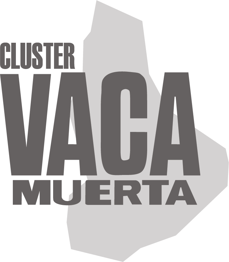 Cluster Vaca Muerta